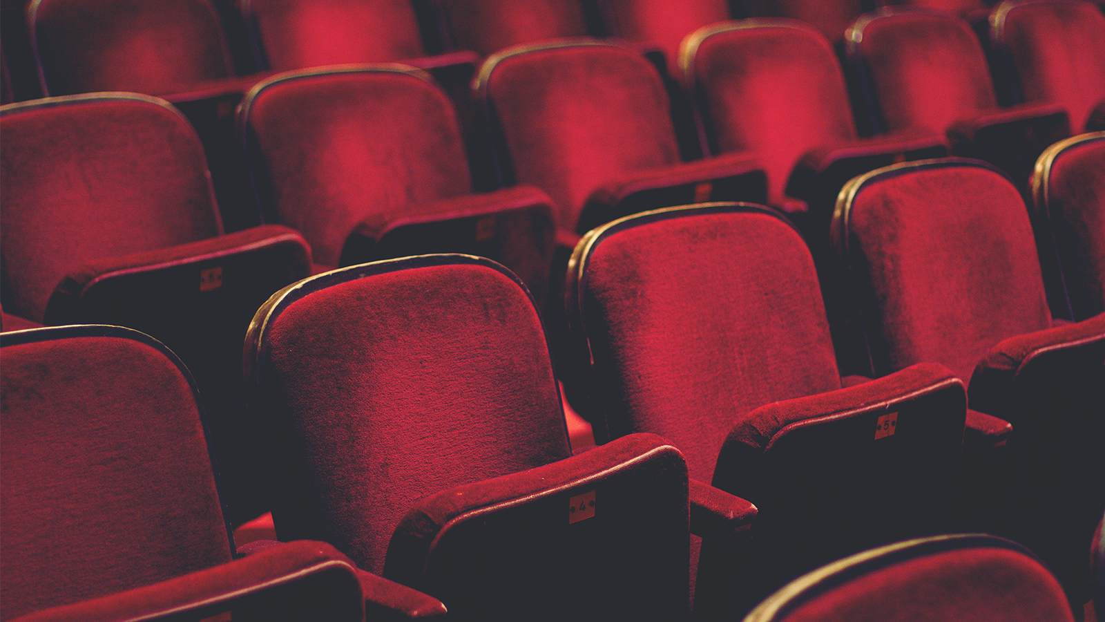 Senior Program Manager at Stage Entertainment Top of Minds