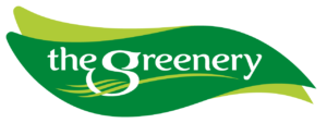 Commercial Director a.i.