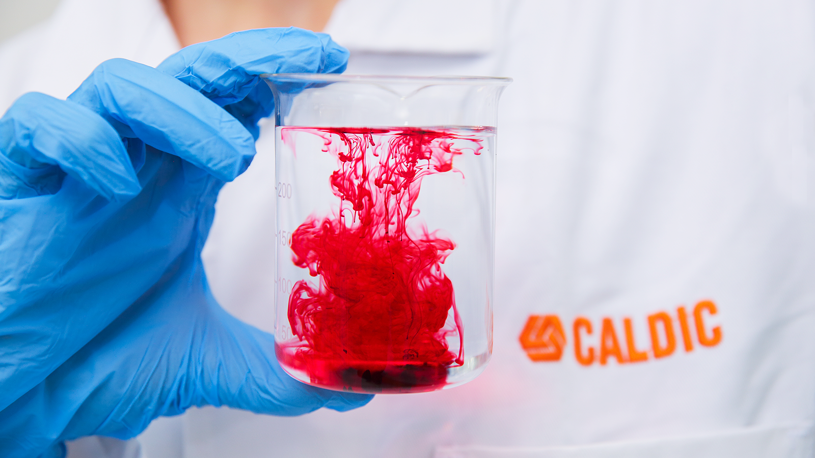 Transformation Manager & Transformation Lead Top of Minds EN