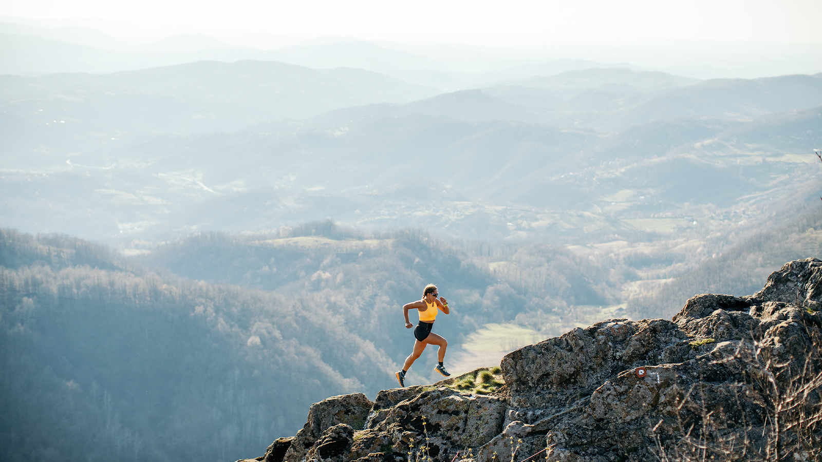 CaPS Procurement Services vacancies