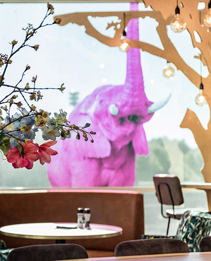 Pink Elephant vacatures