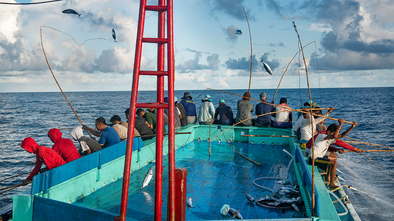Fish Tales vacatures