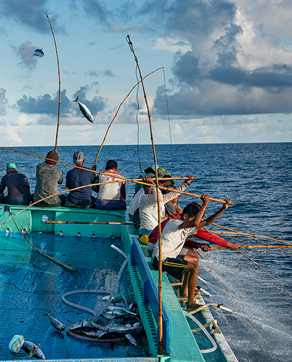 Fish Tales vacatures