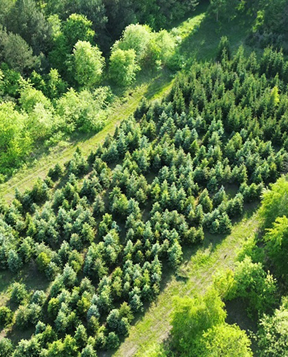 Combinatie Mauritz vacatures