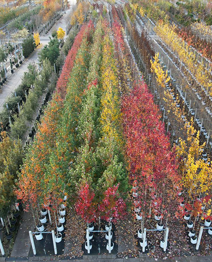 Combinatie Mauritz vacatures