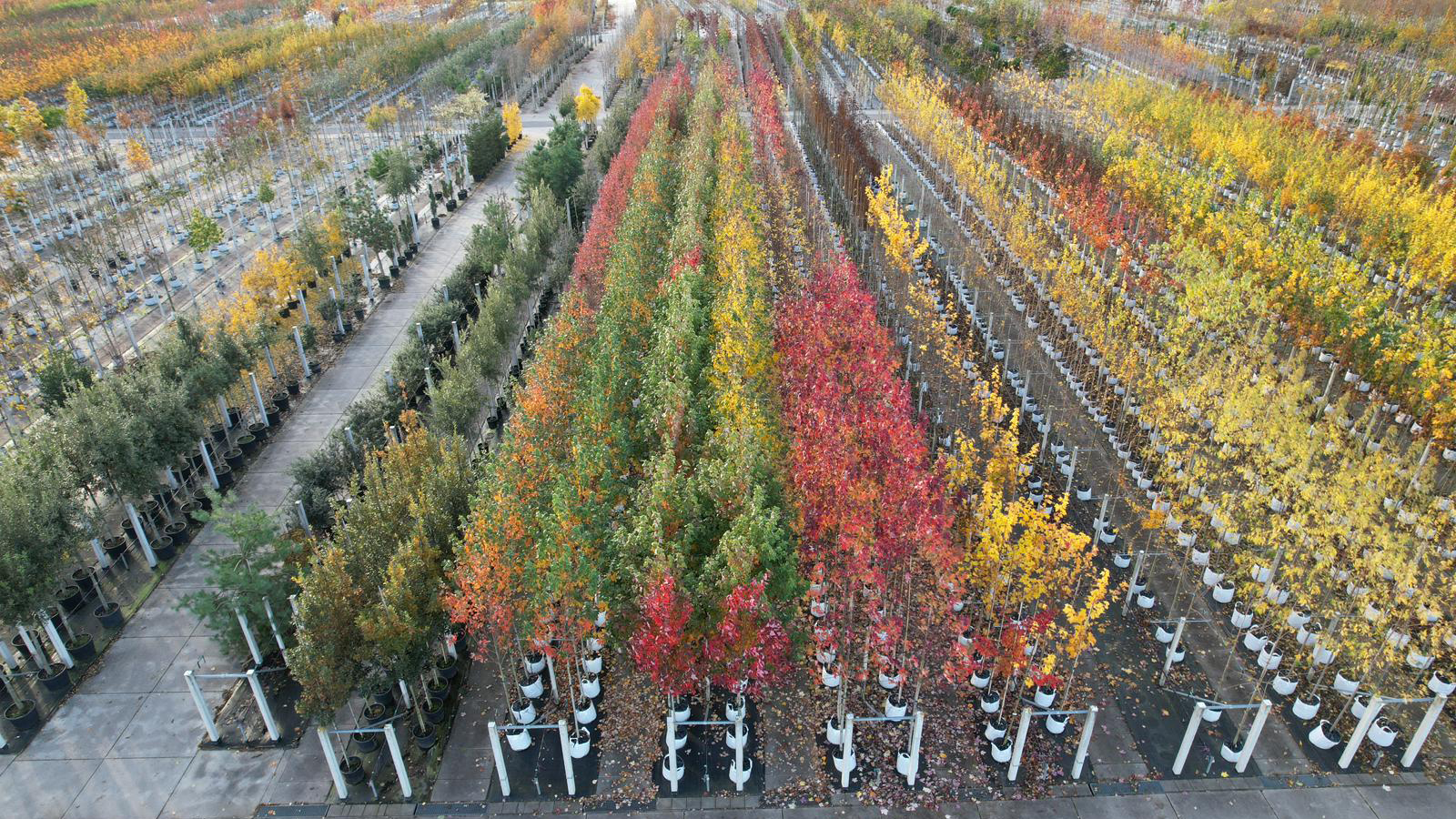 Combinatie Mauritz vacatures